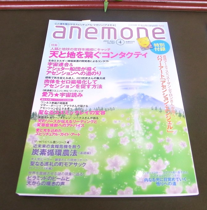 　　　　☆　anemone　☆　