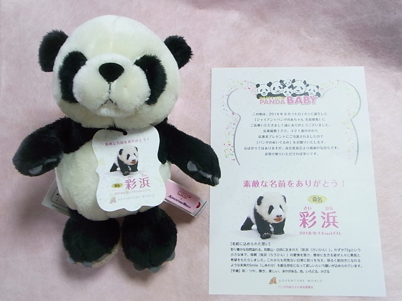 パンダ🐼の赤ちゃん