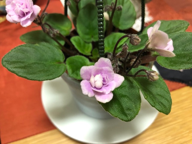 ご意見ありがとうございます。