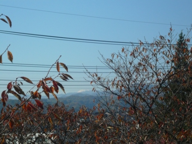　秋川からの富士山